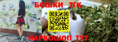 твердый Бердск