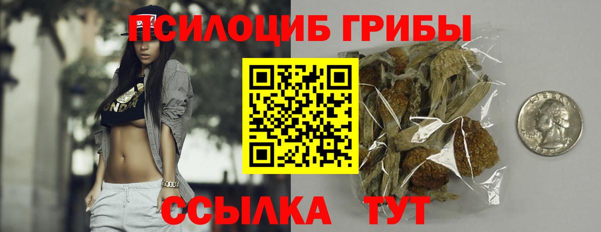Галлюциногенные грибы MAGIC MUSHROOMS  купить закладку  Красноярск  Вход с VPN 